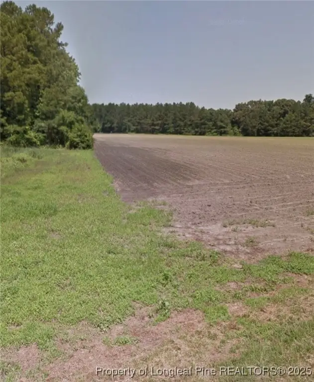 10660 Old Stage Road, Gibson, NC 28343 - #2