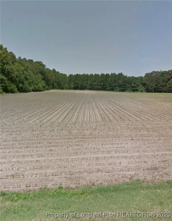 10660 Old Stage Road, Gibson, NC 28343 - #3