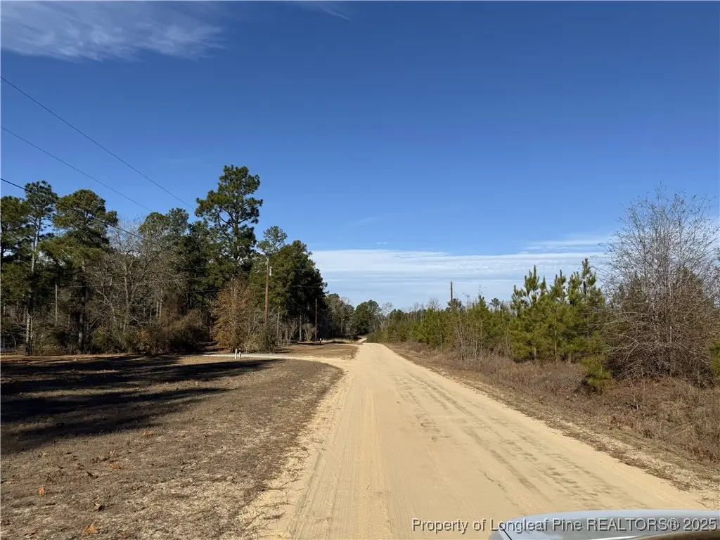 TBD Plantation Road, Laurinburg, NC 28352 - #1