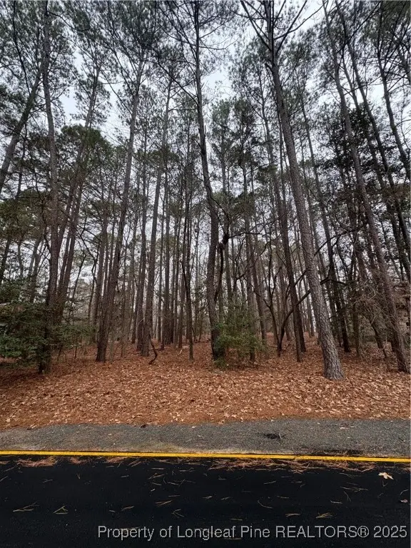 1790 Irish Boulevard, Sanford, NC 27332 - Image #3