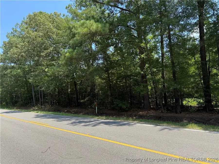 0 Tabor Church Road, Fayetteville, NC 28312 - Image #2