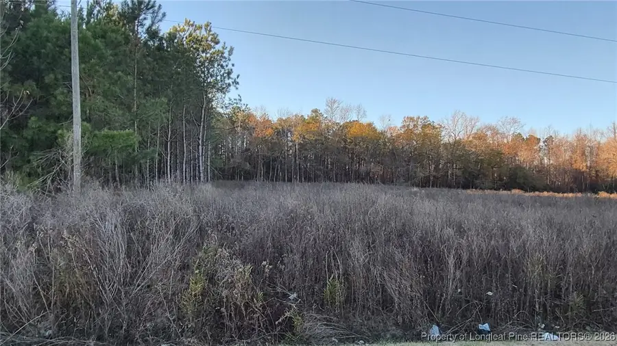 Old Stage Road, Fairmont, NC 28340 - #3