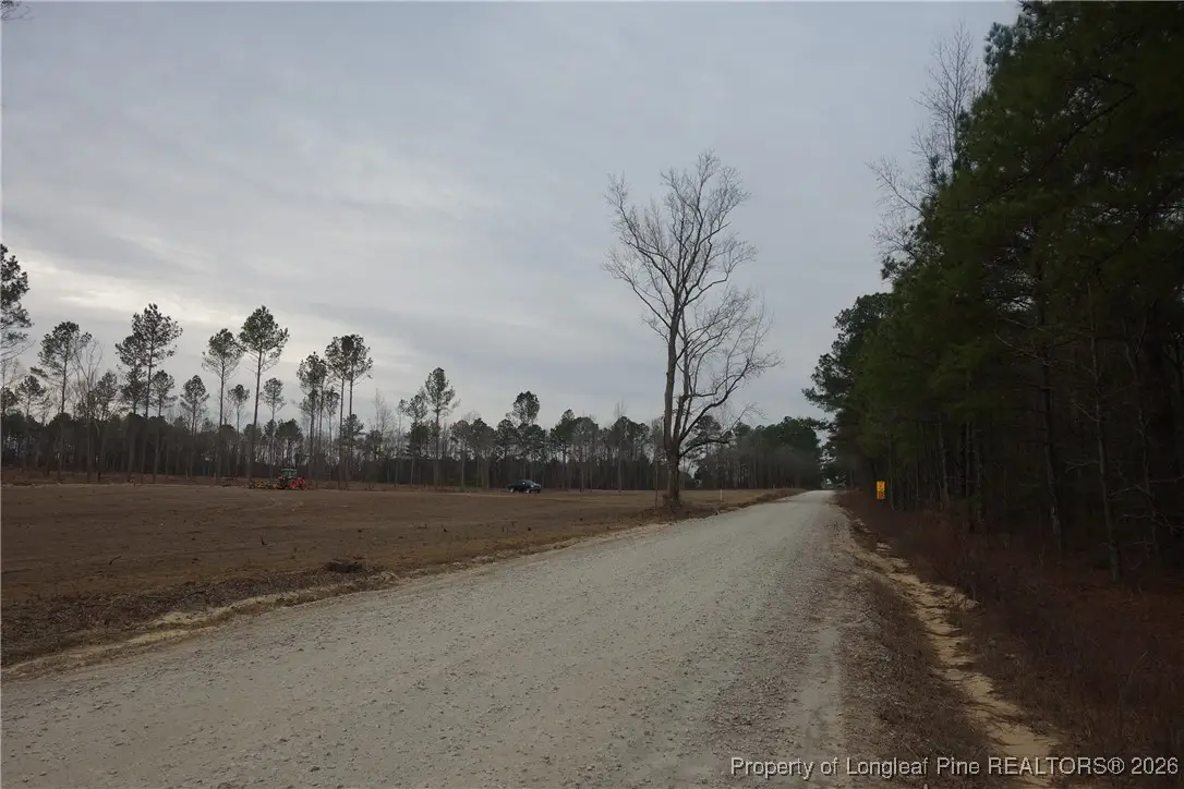 Lot 9 Sand Rock Road, Fairmont, NC 28340 - #1