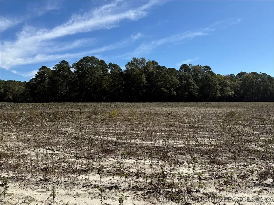 Leggett Road, Fairmont, NC 28340 - #3