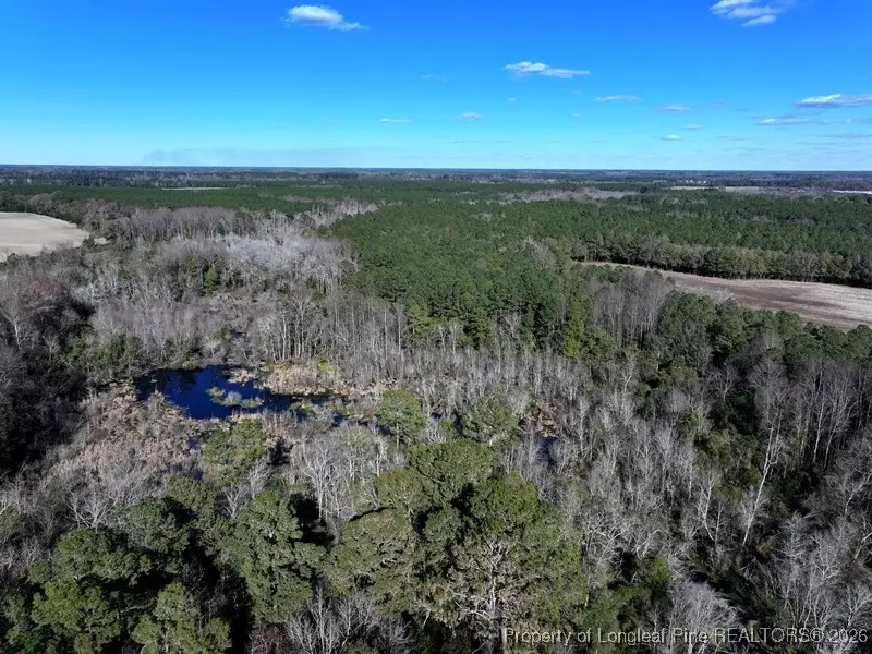 TBD Stuarts Mill Road, Fairmont, NC 28340 - #3