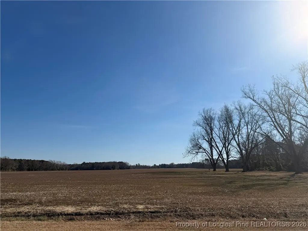 Lot B Pleasant Hope Road, Back Swamp, NC 28340 - #1