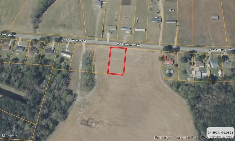 Lot C Pleasant Hope Road, Back Swamp, NC 28340 - #2