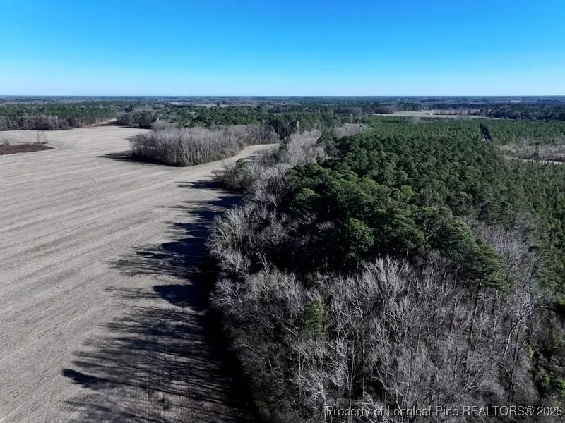 TBD S Old Wire Road, Red Springs, NC 28377 - Image #3