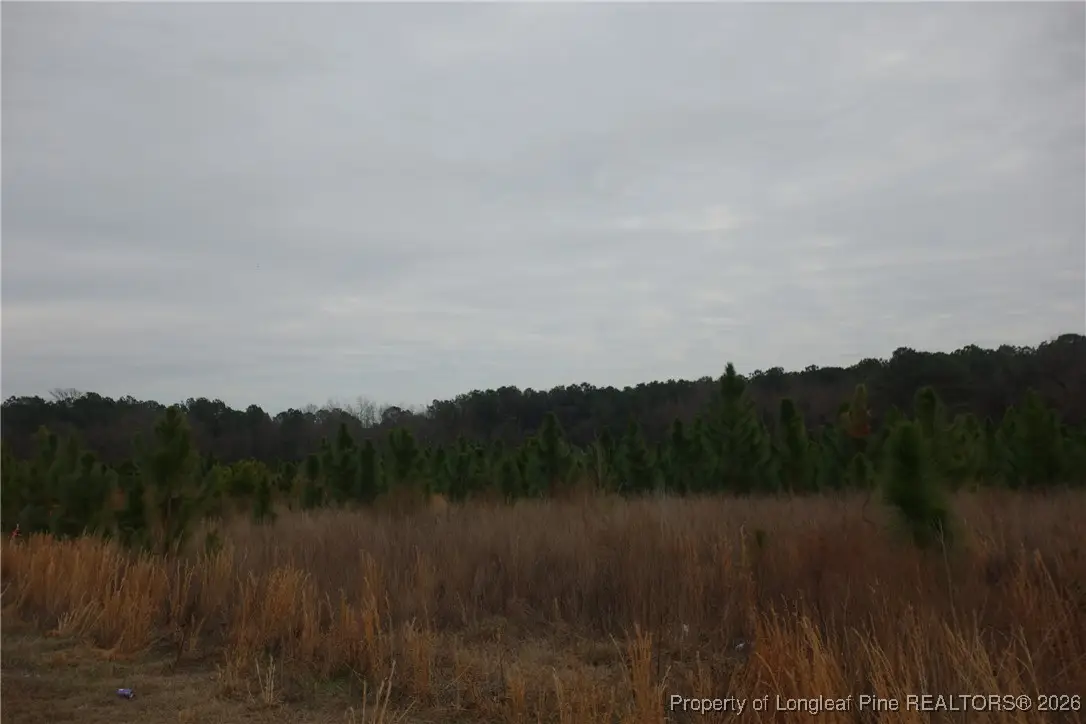 Lot 43 Stuarts Mill Road, Fairmont, NC 28340 - #1