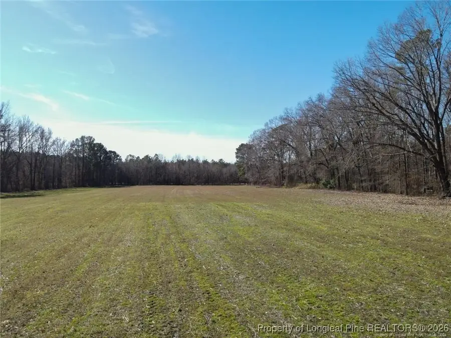 Dobbin Holmes Road, Fayetteville, NC 28312 - Image #3