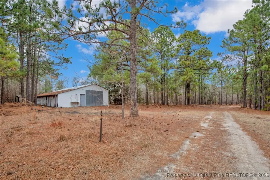 95 Burtons Lane, Cameron, NC 28326 - Image #3