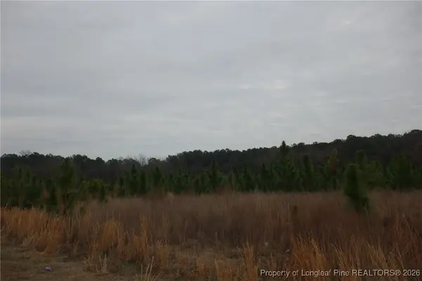 Lot 34 Stuarts Mill Road, Fairmont, NC 28340