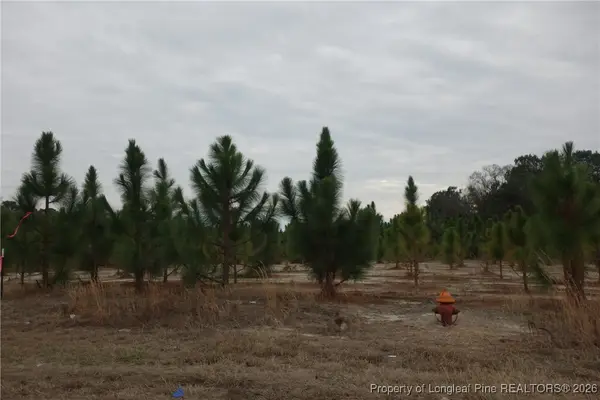 Lot 35 Stuarts Mill Road, Fairmont, NC 28340