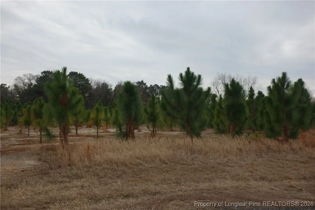 Lot 37 Stuarts Mill Road, Fairmont, NC 28340 - #1