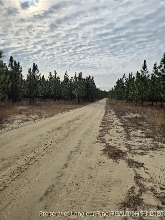 0000 Sugarloaf Road, Elizabethtown, NC 28337 - #3