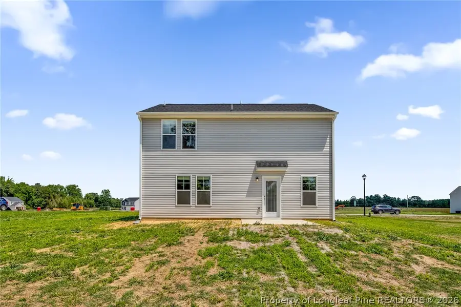 245 Buggy Top Lane, Autryville, NC 28318 - #2