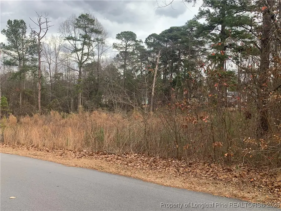 0 Brookridge Drive, Cameron, NC 28326 - #2