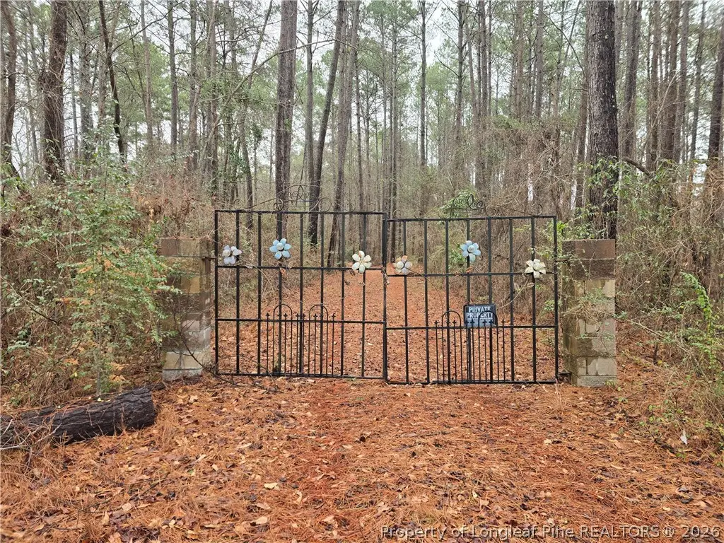 488 Green Street, Parkton, NC 28371 - #1