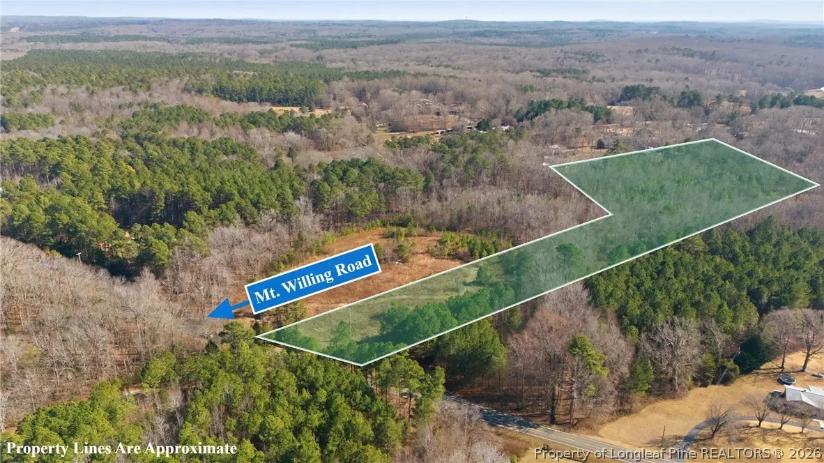 LOT A 1600 Mt. Willing Road, Efland, NC 27243 - #1