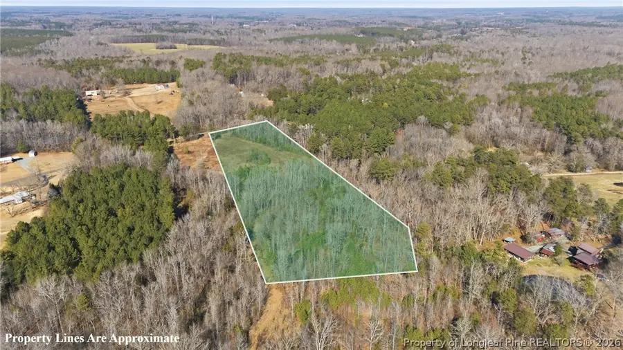 LOT B 1600 Mt. Willing Road, Efland, NC 27243 - #3