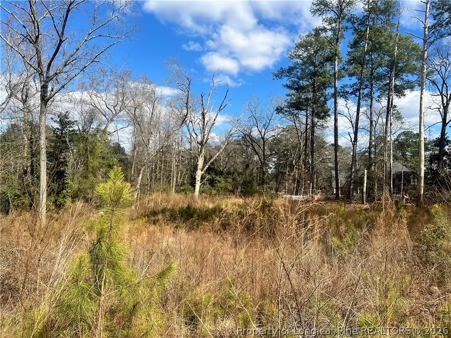 Lot 4 Polaris Court, Raeford, NC 28376 - #3