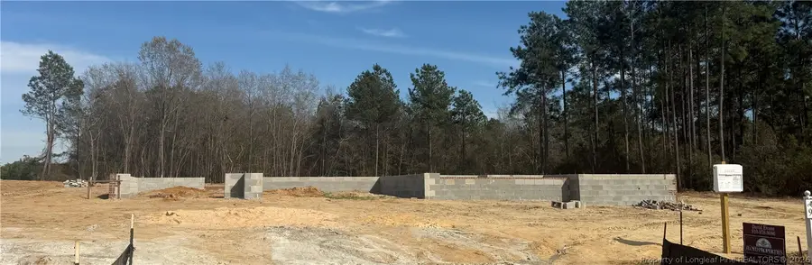 1959 Thomas Wood (lot 94) Drive, Fayetteville, NC 28306 - #3