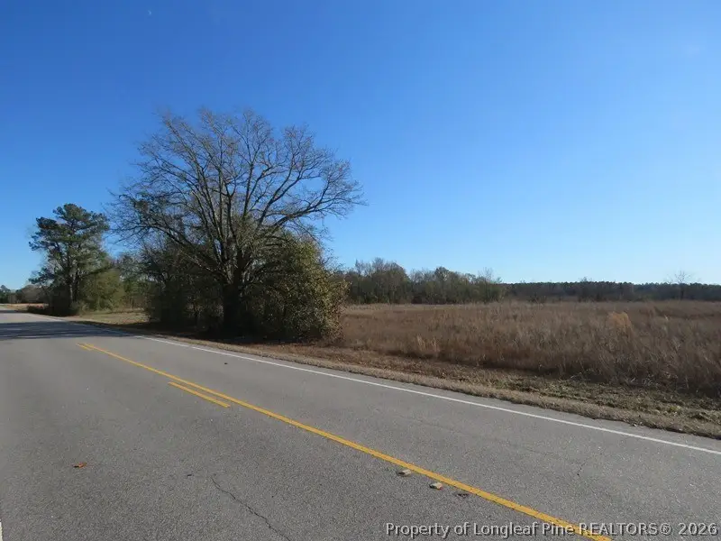 TBD Nc Hwy 53 Highway, Kelly, NC 28448 - #2