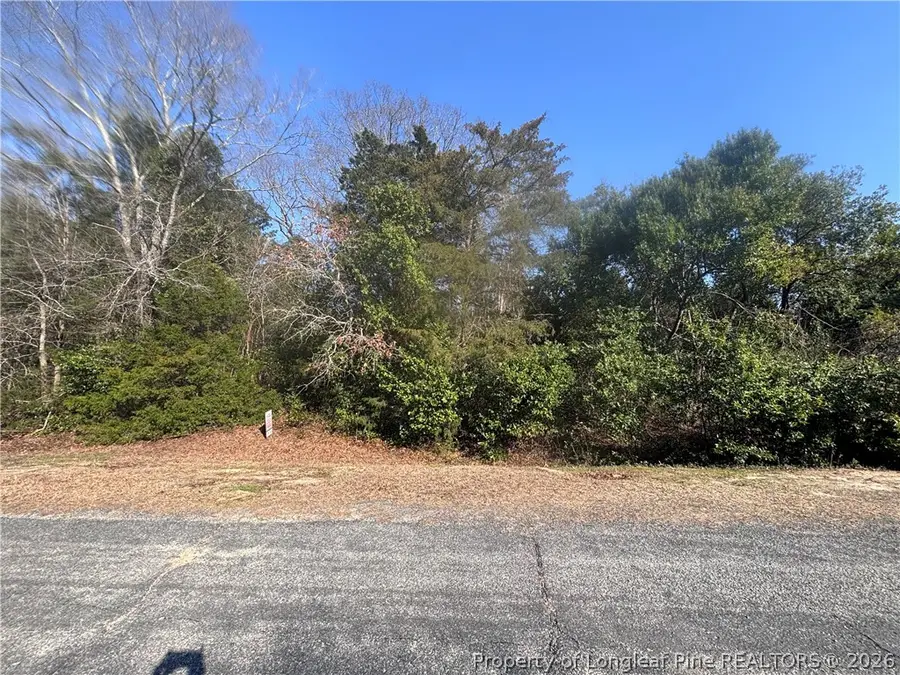 Mabry Road, Rockfish, NC 28348 - #3