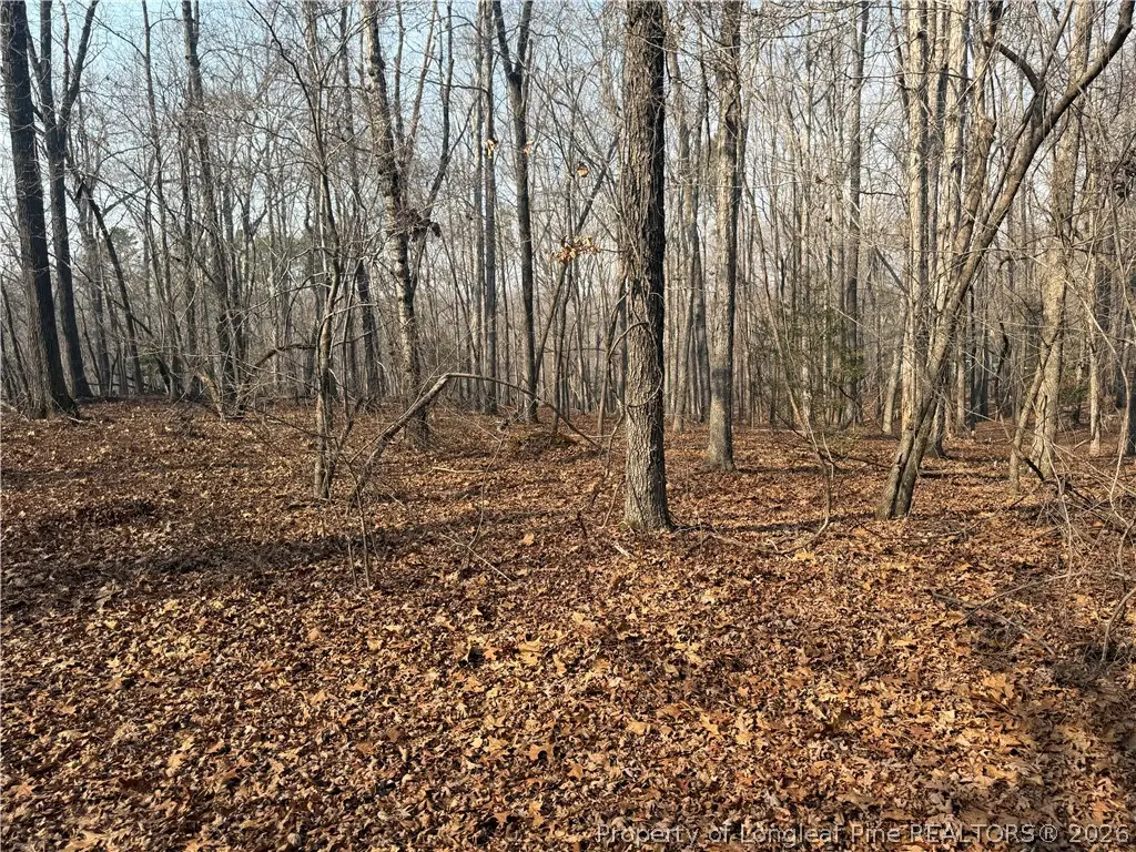 15b Winners Circ Lane, Carthage, NC 28327 - #1