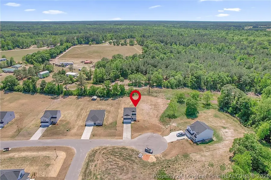 285 Buggy Top Lane, Autryville, NC 28318 - #3