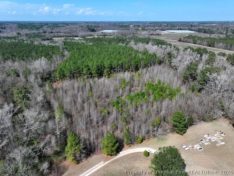 Glory Light Road, Fairmont, NC 28340 - #3