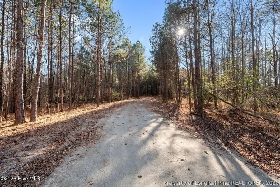 540 Sanctuary Trail, Cameron, NC 28326 - #2