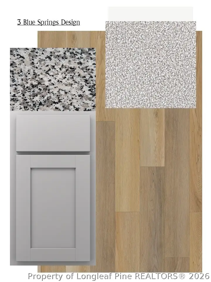 3959 Blue Springs (lot 3) Road, Red Springs, NC 28377 - #2