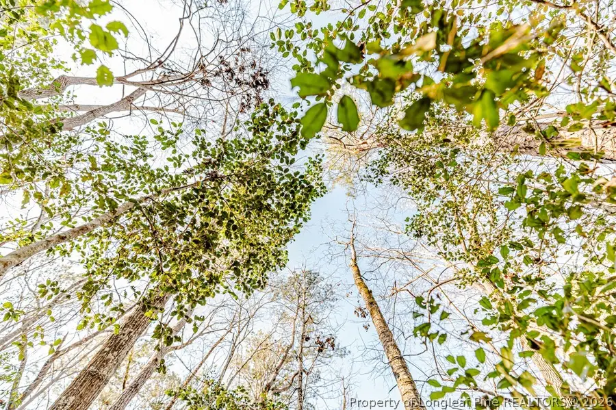 2027 Long Point Trail, Sanford, NC 27332 - #2