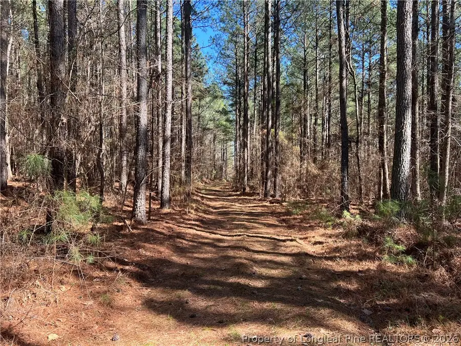 0 Tempting Church Road, Sanford, NC 27330 - #2