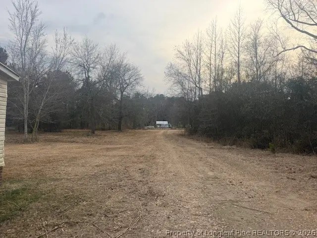 95 Eric Lane, Autryville, NC 28318 - #3