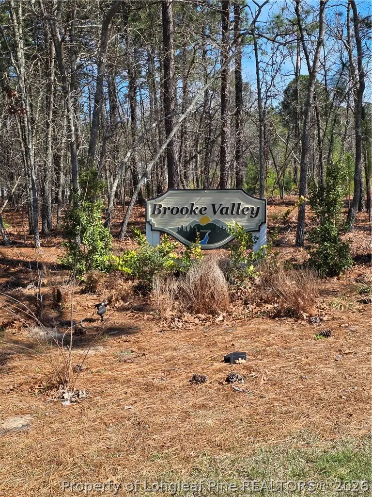 370 Bulldawg Lane, Raeford, NC 28376 - #2