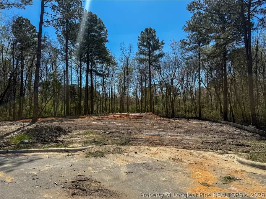 5401 Tall Timbers (lot 95) Drive, Fayetteville, NC 28311 - #3