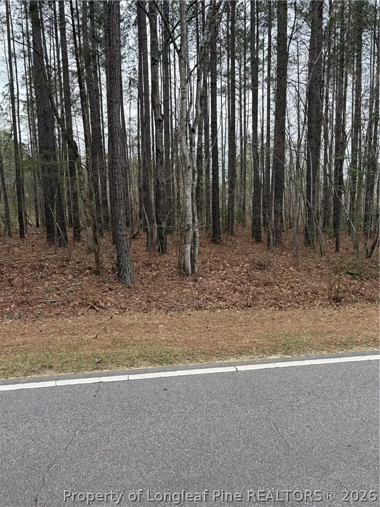 Mcpherson Road, Sanford, NC 27330 - #2