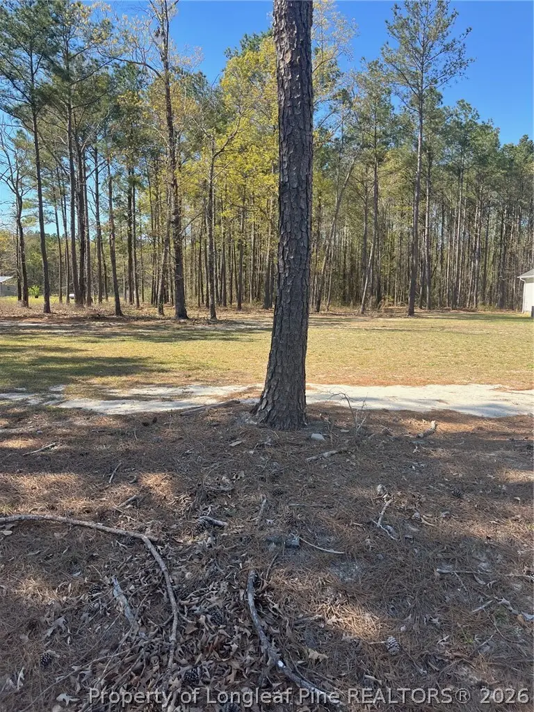 4401 E Huckleberry Drive, Eastover, NC 28312 - #1