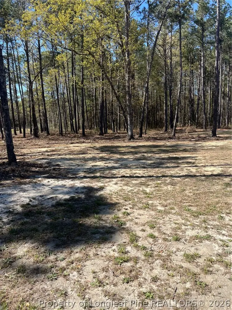 4401 E Huckleberry Drive, Eastover, NC 28312 - #2