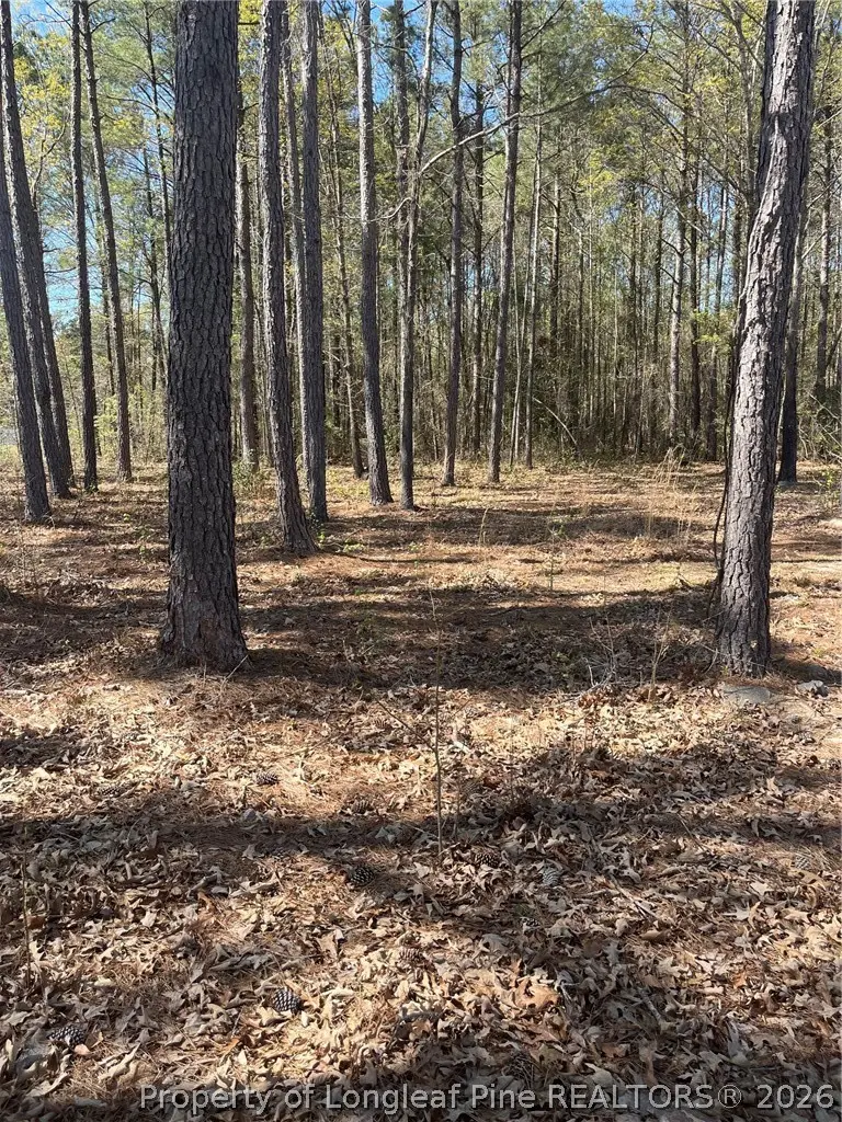 4401 E Huckleberry Drive, Eastover, NC 28312 - #3