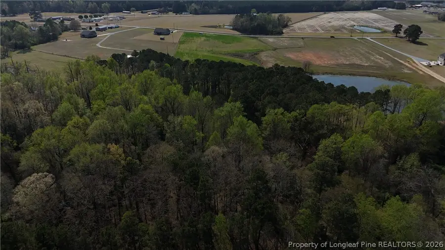 Hannah Creek Road, Benson, NC 27504 - #2