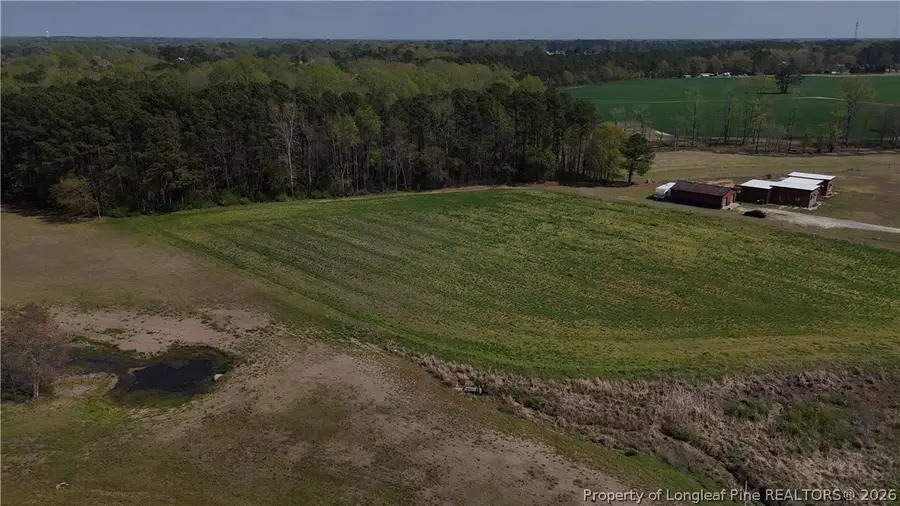 Hannah Creek Road, Benson, NC 27504 - #3