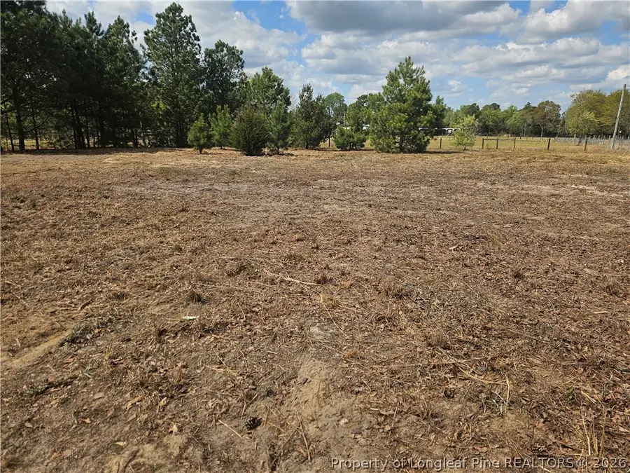 389 Corner Oaks Drive, Saint Pauls, NC 28384 - #2