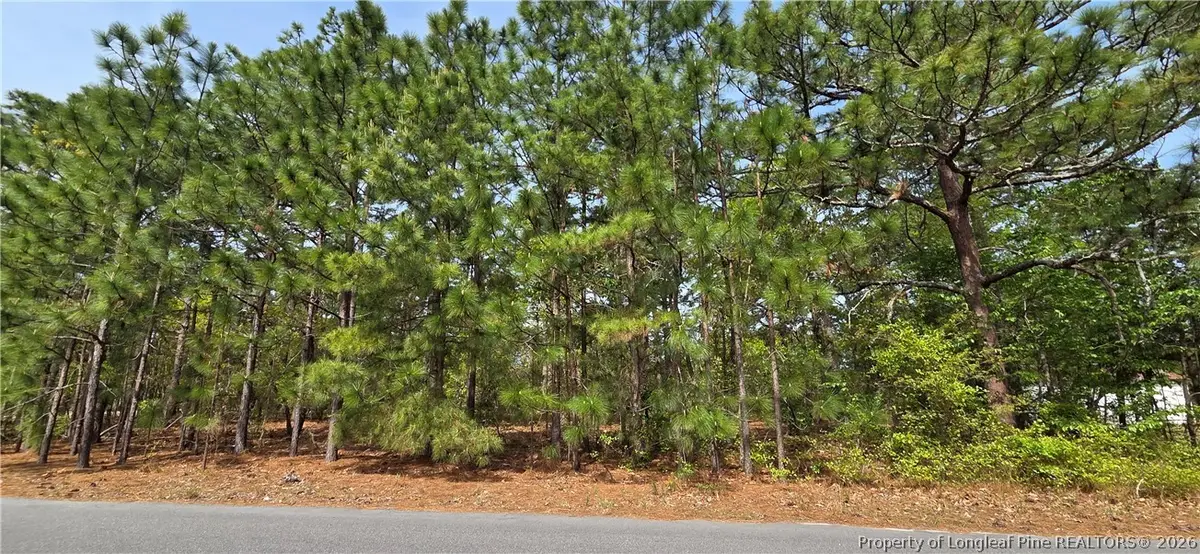 624 Cressida Drive, Fayetteville, NC 28311 - #1