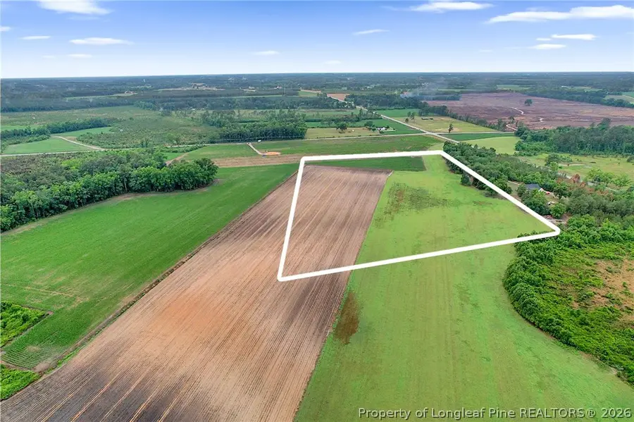 Lot 8 Buie Philadelphus Road, Red Springs, NC 28377 - #2