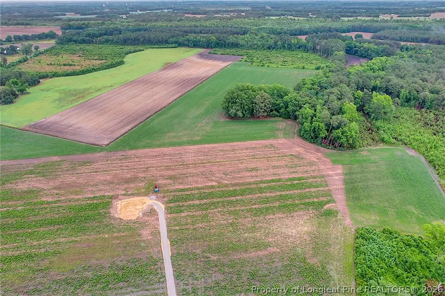 Lot 8 Buie Philadelphus Road, Red Springs, NC 28377 - #3