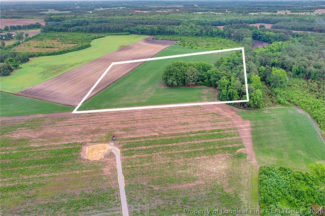 Lot 9 Buie Philadelphus Road, Red Springs, NC 28377 - #1