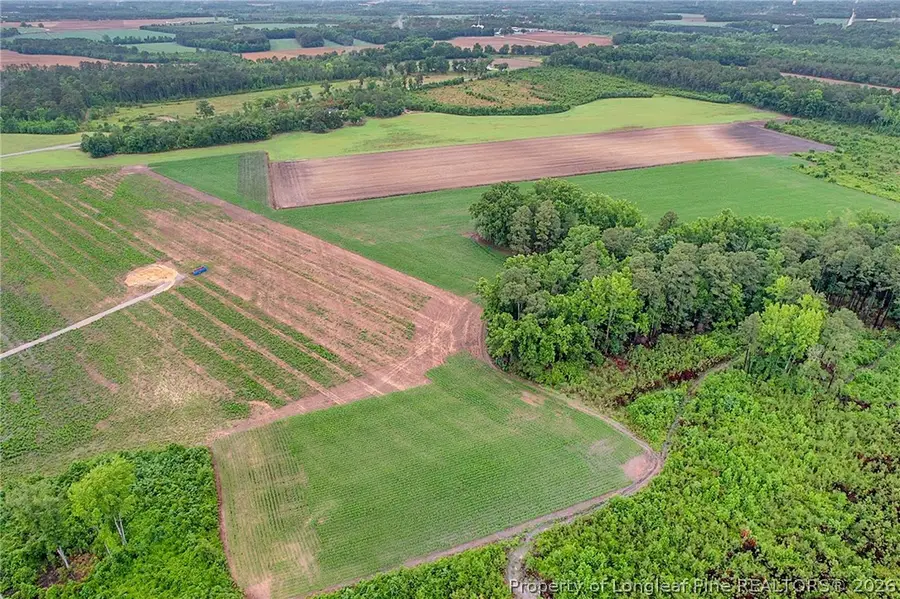 Lot 9 Buie Philadelphus Road, Red Springs, NC 28377 - #2